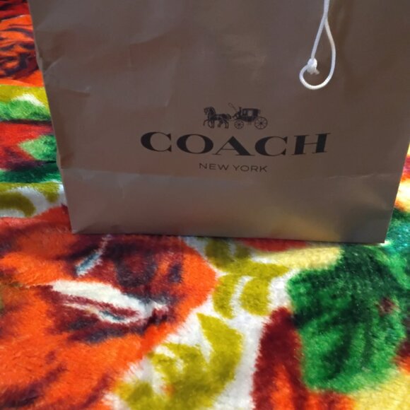 Coach X Peanuts Teri Shoulder Bag W/ Franklin Charm - Picture 13 of 15